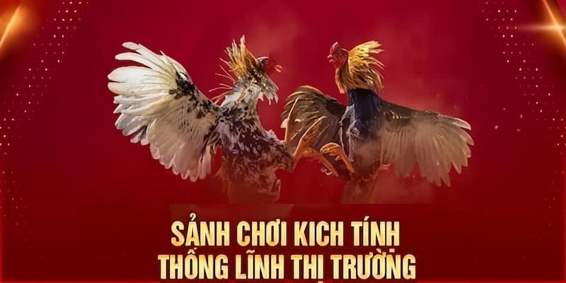 Giới thiệu không gian đánh bạc sảnh WS168 